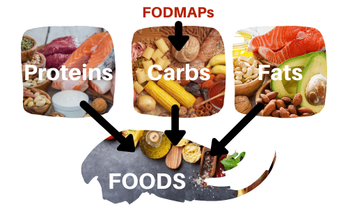 FODMAPs foods