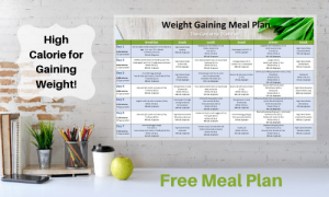 Free Weight Gaining Meal Plan - The Geriatric Dietitian