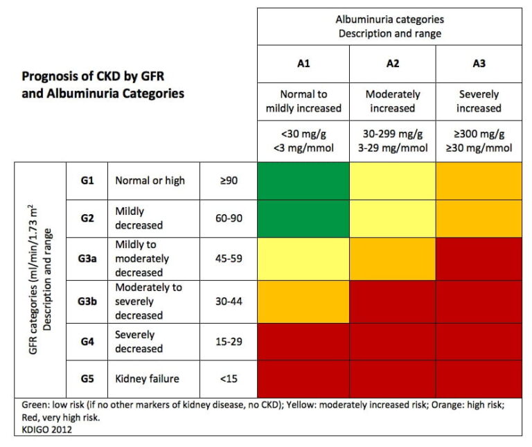 Kidney Disease and Weight Loss The Geriatric Dietitian