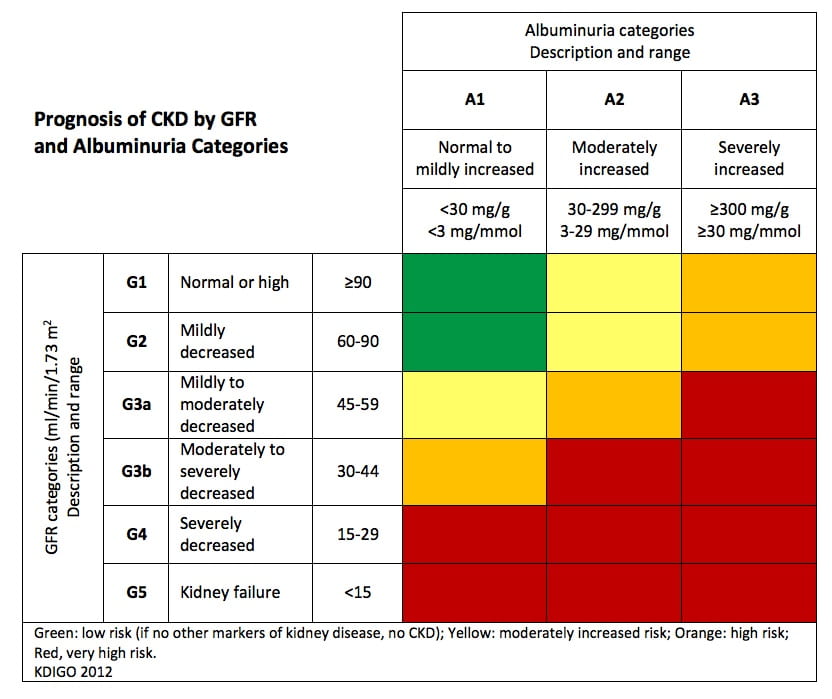 Kidney Disease and Weight Loss The Geriatric Dietitian