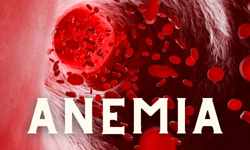 Anemia in Elderly