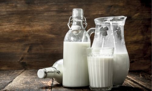 whole milk for weight gain
