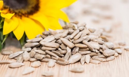 Sunflower seeds