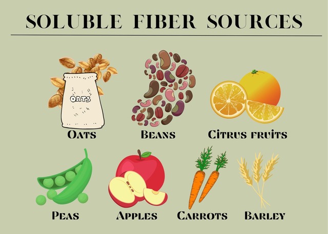 Soluble Fiber Sources with images of oats, beans, citrus fruits, peas, apples, carrots, and barley