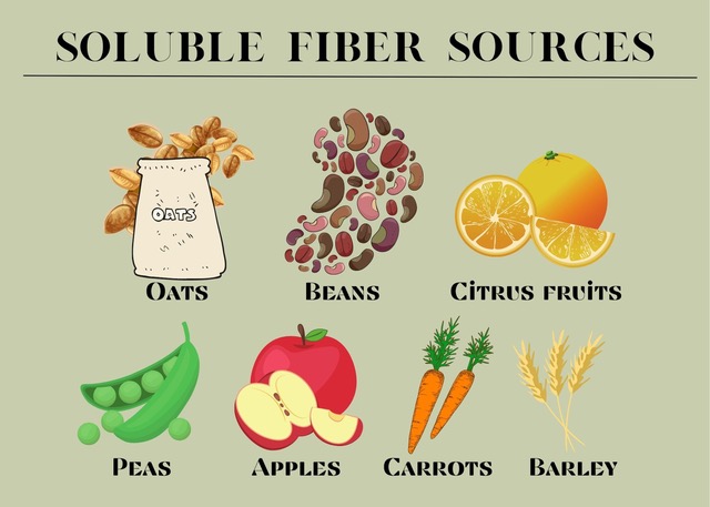 insoluble/soluble fiber sources.