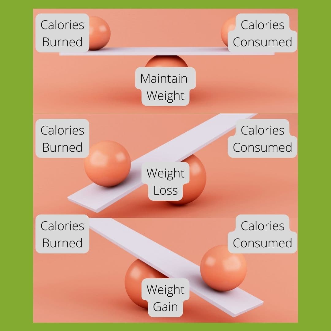 Gaining Weight as a Vegan + 5Day Meal Plan The Geriatric Dietitian