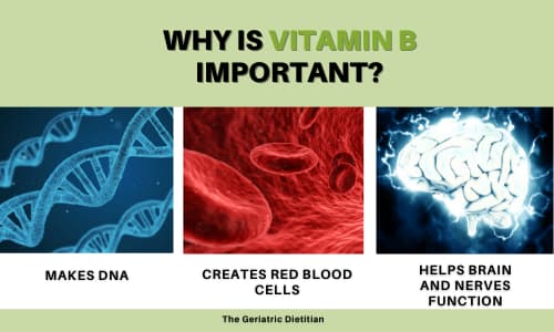 why is vitamin b12 important: makes DNA, create red blood cells, helps brain and nerves function