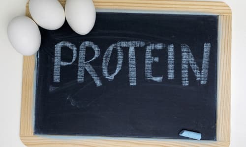 Protein