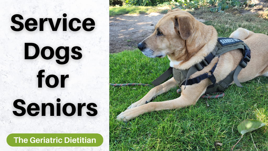 Service Dogs for Seniors