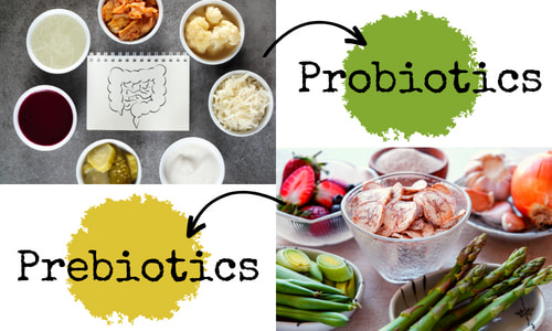 Prebiotics vs Probiotics.