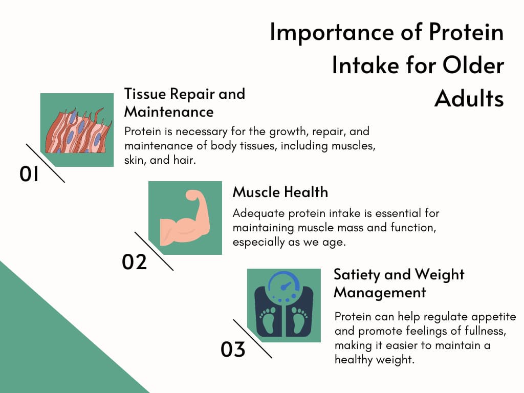Importance of Protein Intake for Older Adults.
