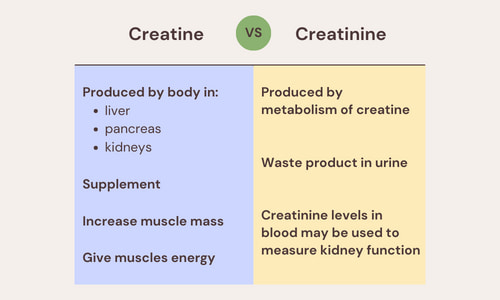 Creatine Vs Creatinine Whats The Difference The Geriatric Dietitian