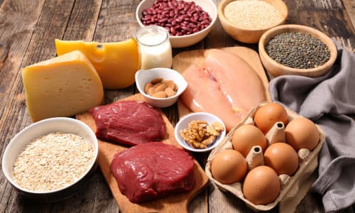 High Calorie Low Fat Foods - Protein.