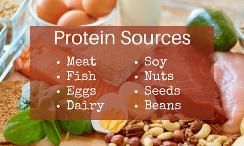 Protein Sources.