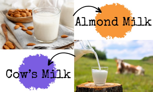 Almond Milk vs Cow's Milk.